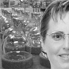 analytical services